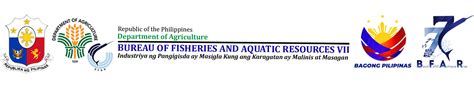 bfar region 7|Official Directory .